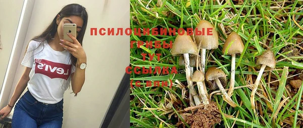 а пвп мука Аркадак