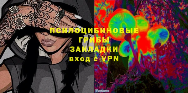 ПСИЛОЦИБИНОВЫЕ ГРИБЫ Алексеевка