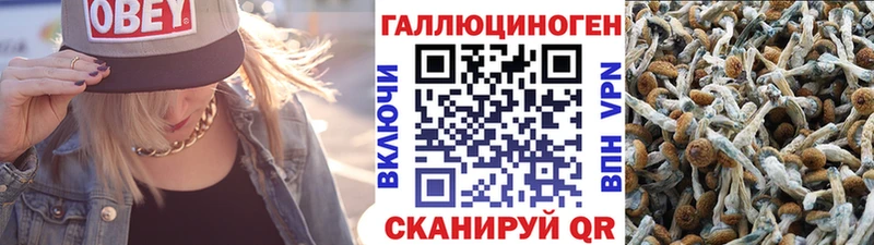 Галлюциногенные грибы Cubensis  дарнет шоп  Волхов 