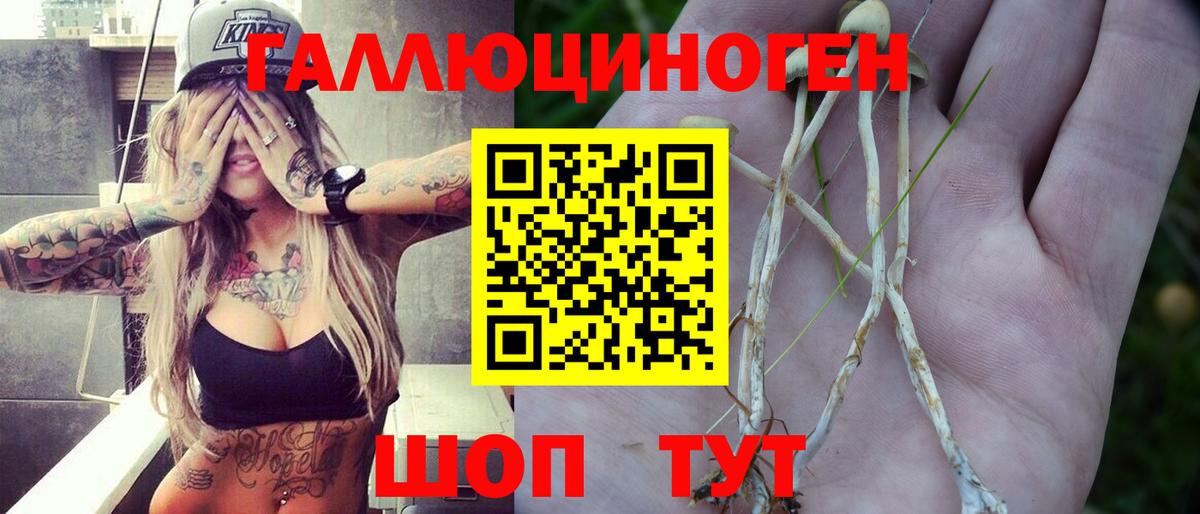 Волхов  Галлюциногенные грибы мухоморы  где найти наркотики  Вход с VPN 