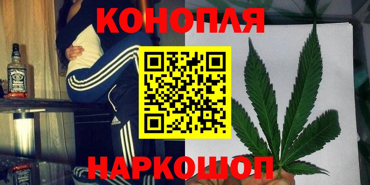 Волхов  Бошки Шишки семена  Бошки Шишки Amnesia  Вход с VPN 